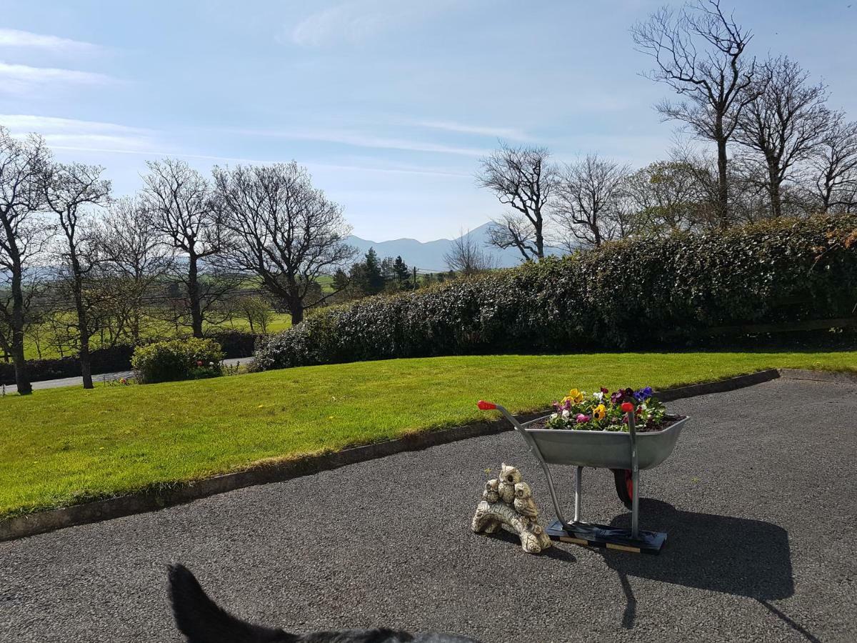 Greenside B&B Westport Exteriör bild